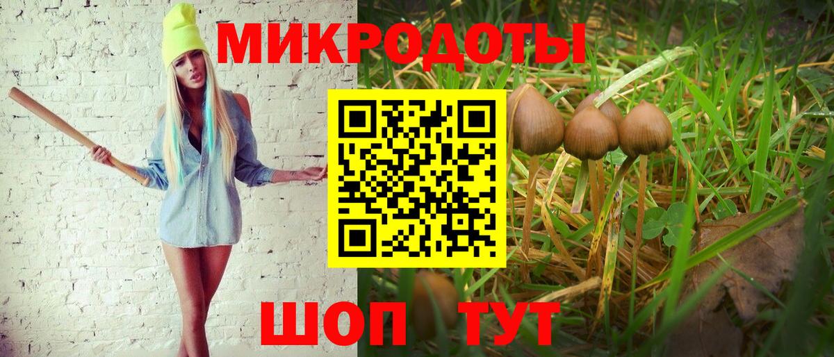 Псилоцибиновые грибы MAGIC MUSHROOMS Семилуки